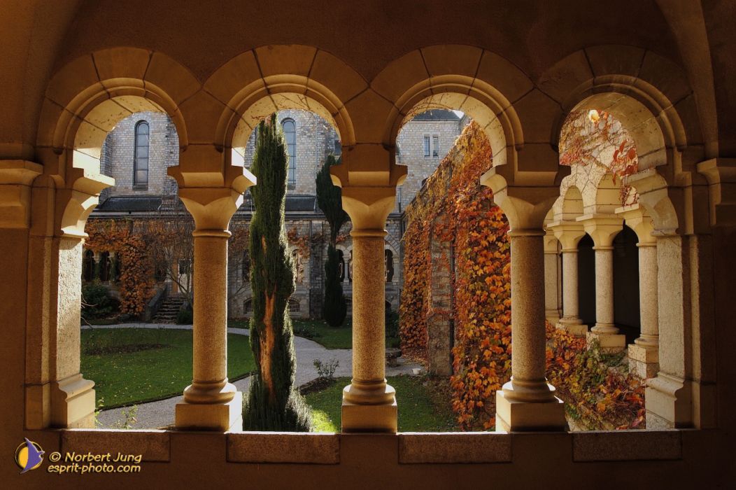 Nom de l'image : D1088474-nef-01_(c)Norbert-JUNG — Description :